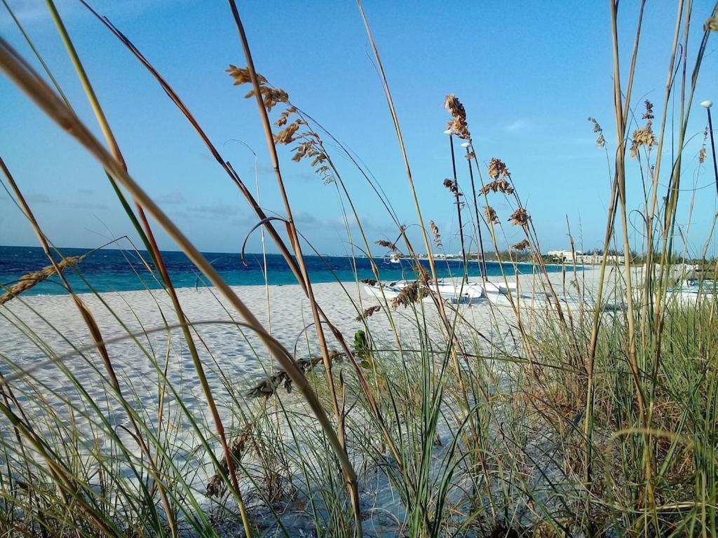 Private Guest House 2 Bedrooms & 2 Baths Near Grace Bay Beach & Long Bay Beach. Екстериор снимка