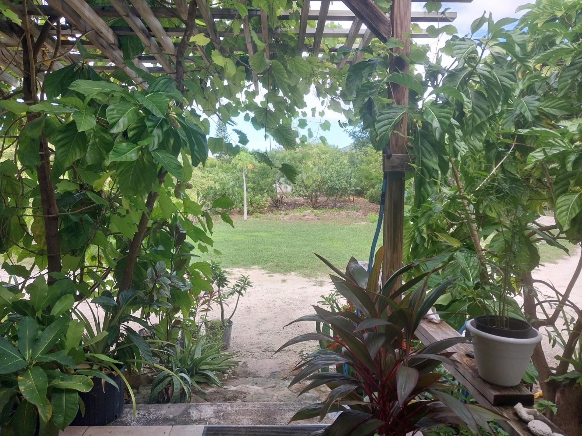 Private Guest House 2 Bedrooms & 2 Baths Near Grace Bay Beach & Long Bay Beach. Екстериор снимка